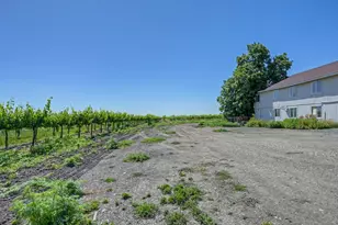 37830 Jefferson Blvd, Clarksburg, CA 95612 - Photo 43