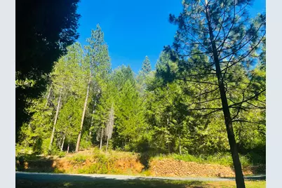 12846 Alpha Loop, Washington, CA 95986 - Photo 7