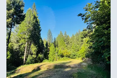 12846 Alpha Loop, Washington, CA 95986 - Photo 3