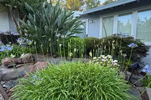 8347 Woodborough Way, Fair Oaks, CA 95628 - Photo 13