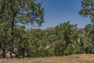 165 Bullion Hill Dr, Valley Springs, CA 95325 - Photo 55