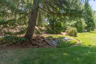 830 Stella Dr, Murphys, CA 95247 - Photo 29