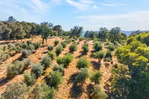 4016 Twin Rdgs Rd, Placerville, CA 95667 - Photo 15