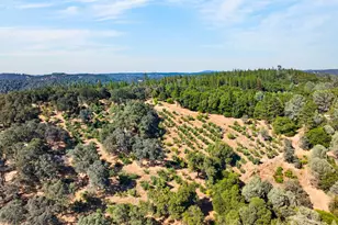 4016 Twin Rdgs Rd, Placerville, CA 95667 - Photo 49