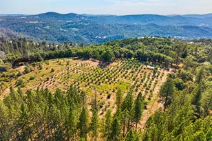 4016 Twin Rdgs Rd, Placerville, CA 95667 - Photo 63