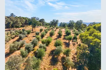 4016 Twin Ridges Road, Placerville, CA 95667 - Photo 9