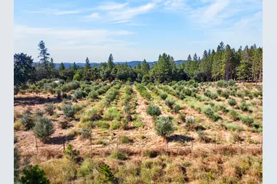 4016 Twin Ridges Road, Placerville, CA 95667 - Photo 61