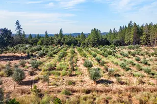 4016 Twin Rdgs Rd, Placerville, CA 95667 - Photo 61