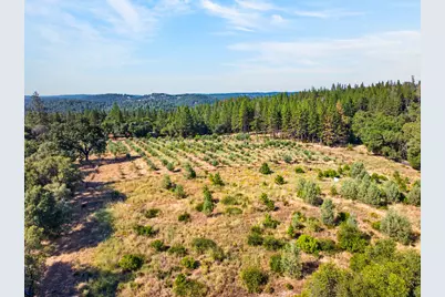 4016 Twin Ridges Road, Placerville, CA 95667 - Photo 51