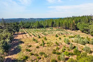 4016 Twin Rdgs Rd, Placerville, CA 95667 - Photo 51