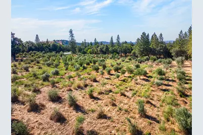 4016 Twin Ridges Road, Placerville, CA 95667 - Photo 53