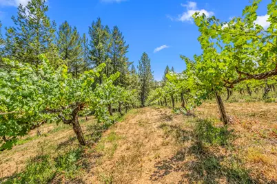 0 Greenwood Road, Garden Valley, CA 95633 - Photo 17