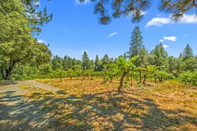 0 Greenwood Road, Garden Valley, CA 95633 - Photo 13