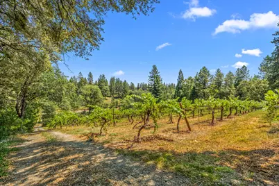 0 Greenwood Road, Garden Valley, CA 95633 - Photo 7