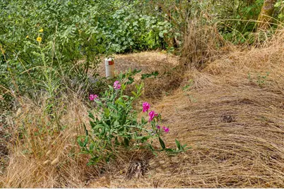 17422 Scopar Road, Grass Valley, CA 95949 - Photo 53