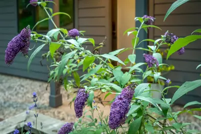 12281 Madrona Way, Nevada City, CA 95959 - Photo 25