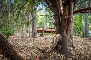 12281 Madrona Way, Nevada City, CA 95959 - Photo 49