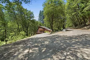 25545 Hwy 49, Sierra City, CA 96125 - Photo 3