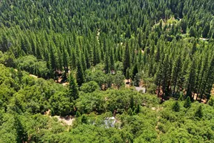 25545 Hwy 49, Sierra City, CA 96125 - Photo 37