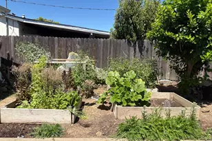 2561 24th Ave, Sacramento, CA 95820 - Photo 11