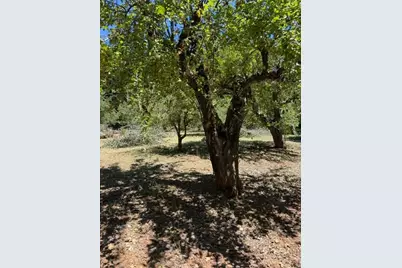 1869 Hwy 4, Arnold, CA 95223 - Photo 5