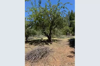 1869 Hwy 4, Arnold, CA 95223 - Photo 3