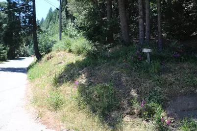 615 Main Street, Downieville, CA 95936 - Photo 5