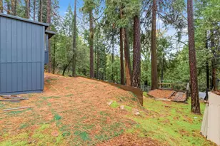 19159 Allan Rd, Volcano, CA 95689 - Photo 25