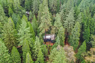 19159 Allan Rd, Volcano, CA 95689 - Photo 21
