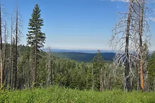 4898 Creekside, Grizzly Flats, CA 95636 - Photo 1