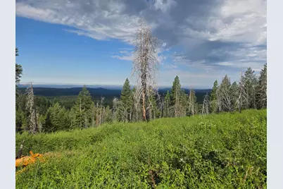 4898 Creekside, Grizzly Flats, CA 95636 - Photo 3