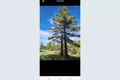 0 Cheney Creek Road, Susanville, CA 96130 - Photo 1