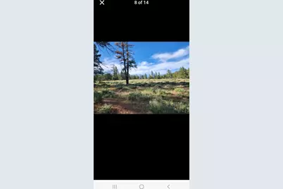 0 Cheney Creek Road, Susanville, CA 96130 - Photo 15