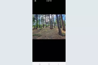 0 Cheney Creek Road, Susanville, CA 96130 - Photo 9