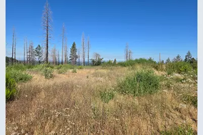 4855 Creekside, Grizzly Flats, CA 95636 - Photo 5