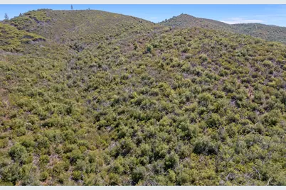 6165 Starlight Lane, Mountain Ranch, CA 95246 - Photo 7