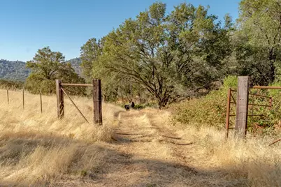 27044 McCourtney, Grass Valley, CA 95949 - Photo 29