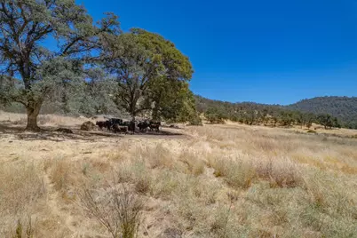 27044 McCourtney, Grass Valley, CA 95949 - Photo 17
