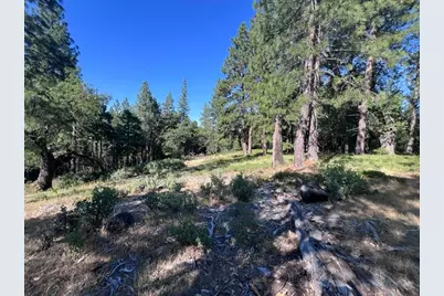 0 Spirit Lane, Pollock Pines, CA 95726 - Photo 17