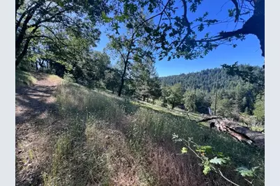 0 Spirit Lane, Pollock Pines, CA 95726 - Photo 19