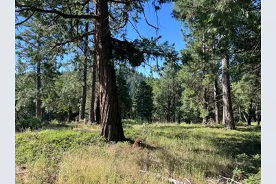 0 Spirit Lane, Pollock Pines, CA 95726 - Photo 11