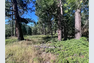 0 Spirit Lane, Pollock Pines, CA 95726 - Photo 13