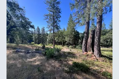 0 Spirit Lane, Pollock Pines, CA 95726 - Photo 15