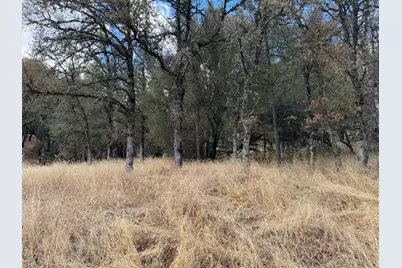 17022 Brewer Road, Grass Valley, CA 95949 - Photo 3