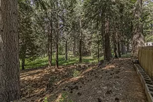 12468 La Porte Rd, Clipper Mills, CA 95930 - Photo 31