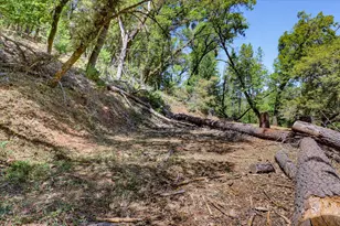 19407 Tiger Tail Rd, Grass Valley, CA 95949 - Photo 75