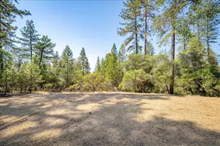 3560 Sugar View Rd, Meadow Vista, CA 95722 - Photo 35