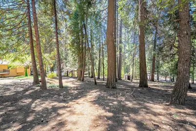 2226 Blair Road, Pollock Pines, CA 95726 - Photo 43