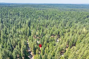 2226 Blair Rd, Pollock Pines, CA 95726 - Photo 53
