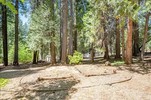 2226 Blair Rd, Pollock Pines, CA 95726 - Photo 45